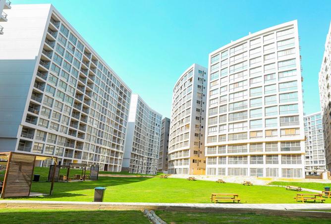 7991206 - Property Image 3