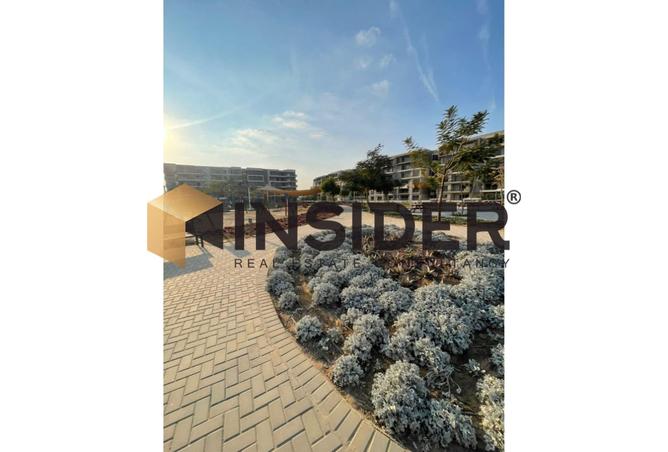 8473094 - Property Image 3