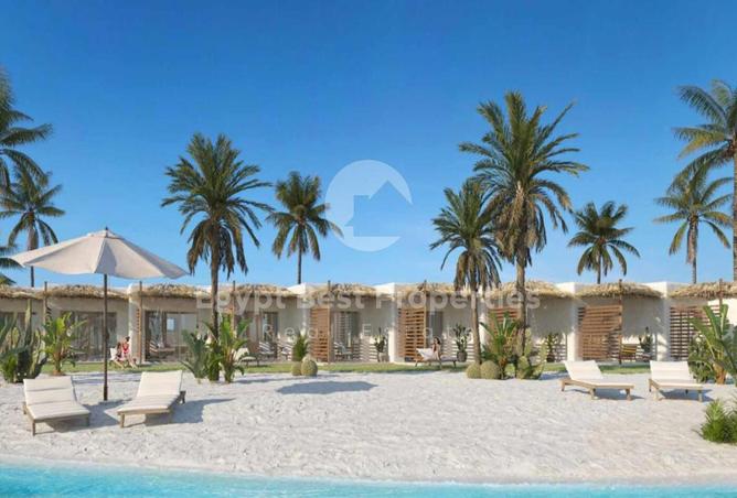 7978643 - صورة العقار 3