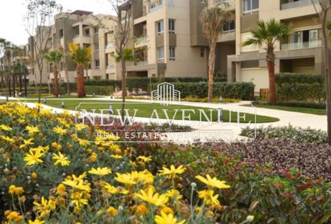 8350946 - Property Image 3