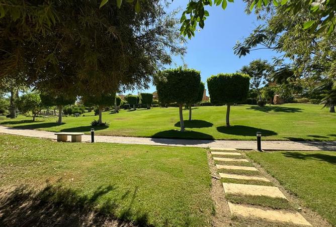 8035427 - صورة العقار 2