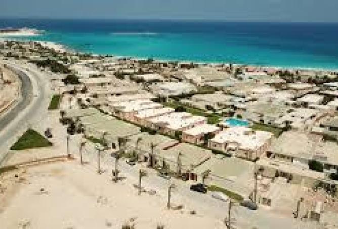 8394344 - Property Image 3