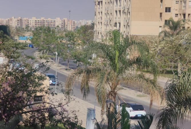 8235638 - Property Image 2