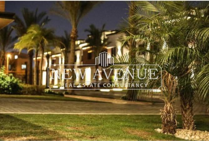 8155537 - Property Image 3