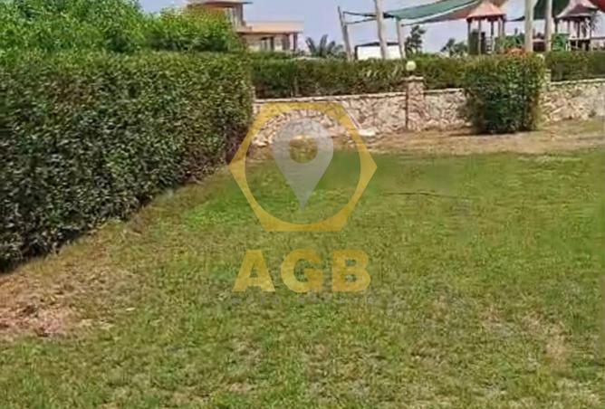 7804411 - صورة العقار 3