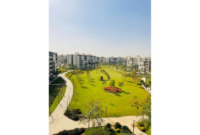 7881029 - Property Image 2