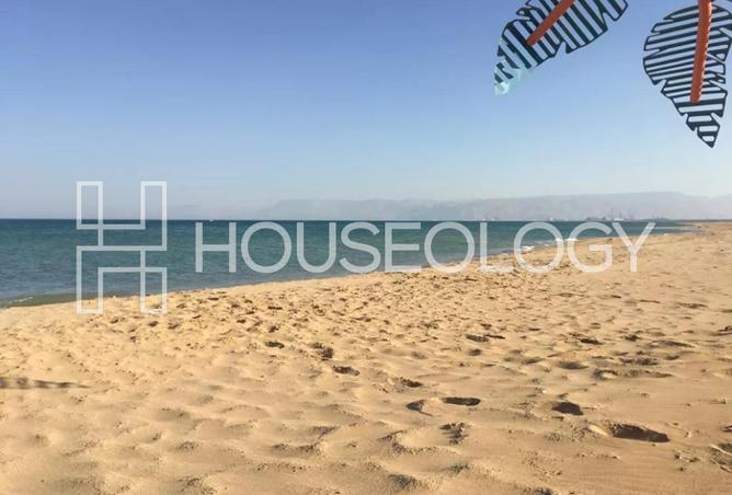 8295639 - Property Image 3