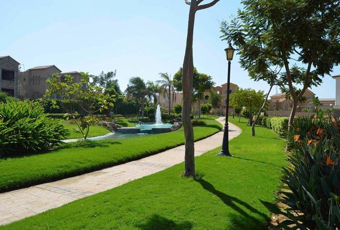 8166705 - Property Image 3