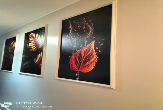 8395992 - Property Image 3