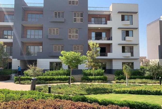 8247136 - صورة العقار 3