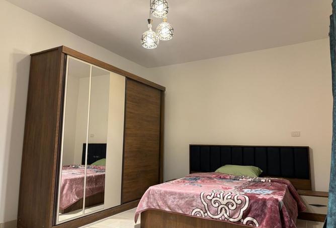 8432480 - Property Image 3