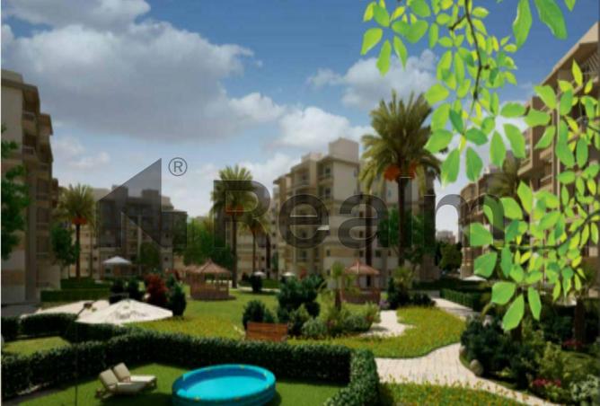 8243768 - Property Image 2