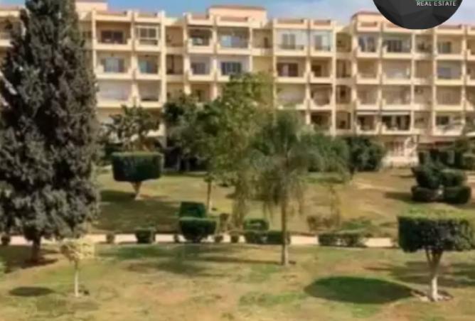 8128025 - صورة العقار 3
