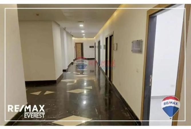 8215102 - Property Image 2