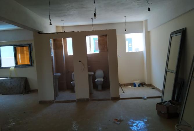 8479879 - Property Image 2