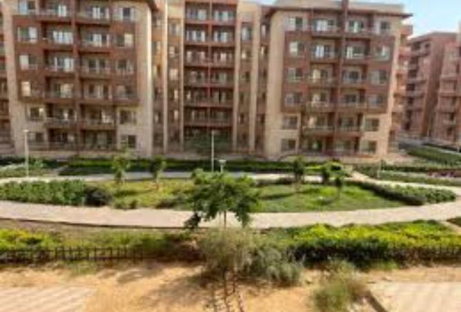 8393454 - الصورة الرئيسية للعقار