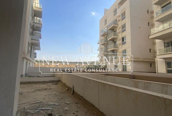 8419559 - Property Image 3