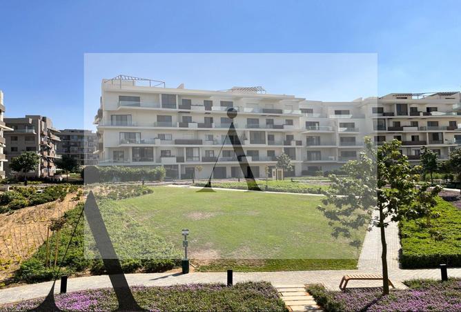 8396101 - Property Image 3