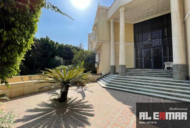 7203039 - صورة العقار 2