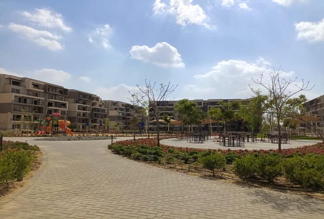 7974418 - Property Image 3