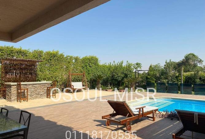 8023307 - Property Image 3