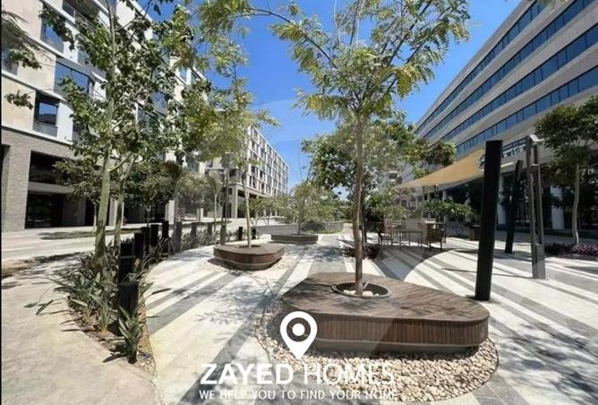 8163716 - صورة العقار 3