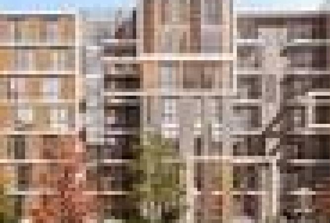 8209468 - صورة العقار 3