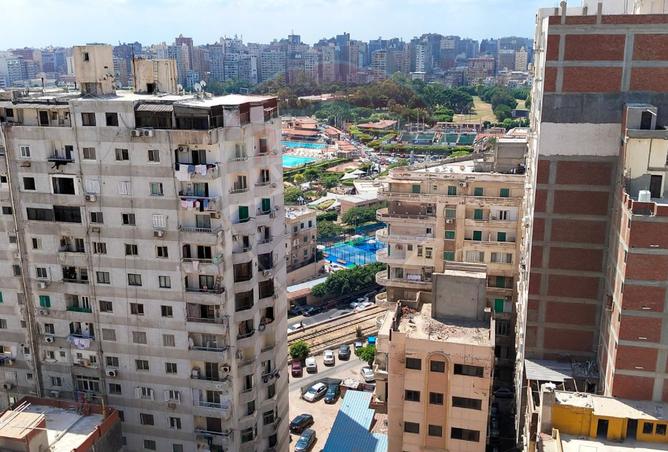 7915326 - صورة العقار 2
