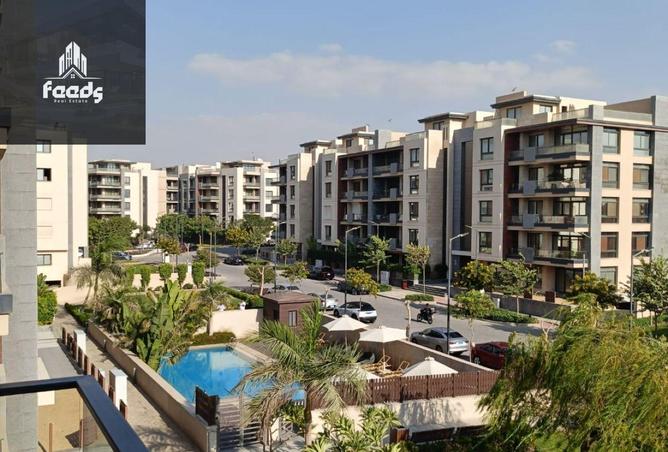 8206834 - Property Image 3