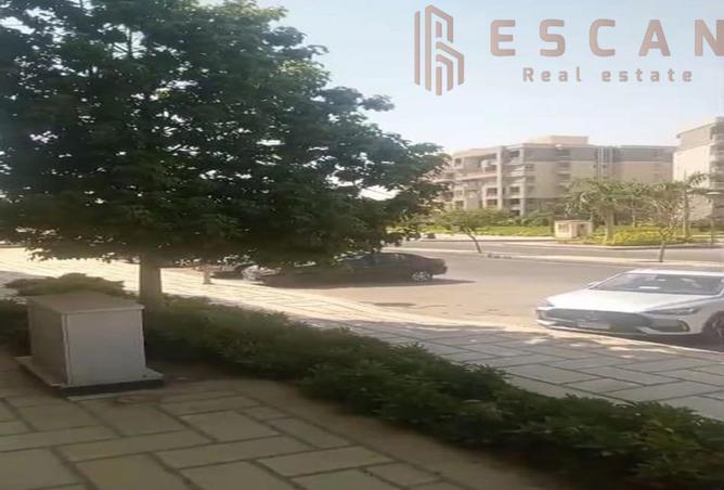 8030832 - صورة العقار 3