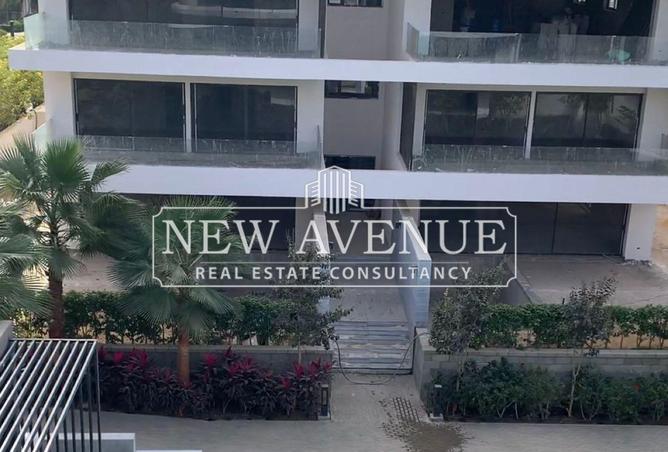 8260719 - Property Image 3