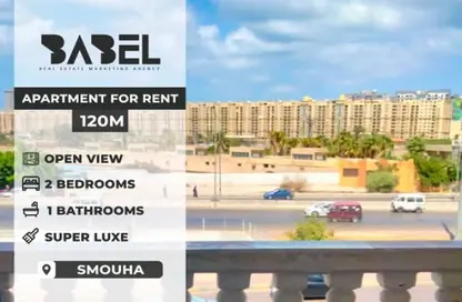 Apartment - 2 Bedrooms - 1 Bathroom for rent in 14th of May Bridge Road - Smouha - Hay Sharq - Alexandria