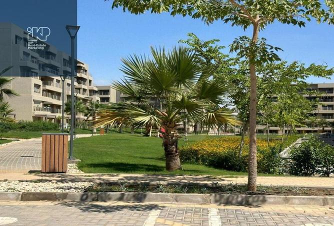 8215551 - Property Image 2