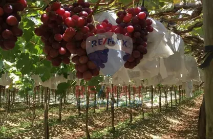 مزرعة - استوديو للبيع في وادي النطرون - البحيرة