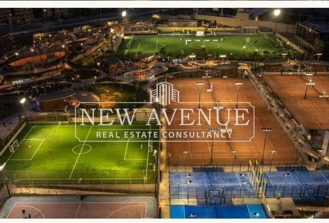 8067216 - Property Image 3