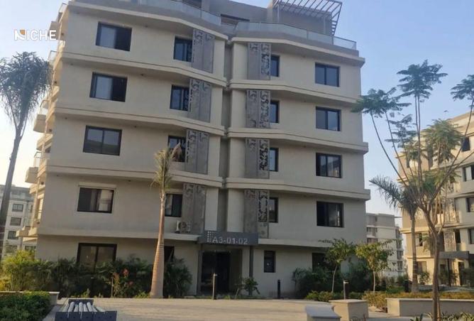 8466530 - Property Image 3