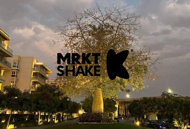 8506703 - Property Image 3