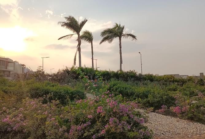 8111049 - صورة العقار 2