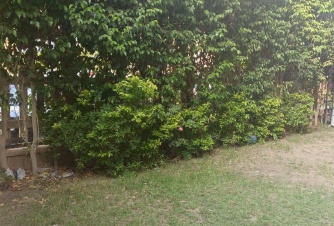 8085574 - الصورة الرئيسية للعقار