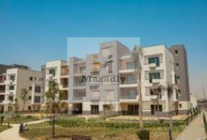 8197948 - صورة العقار 3