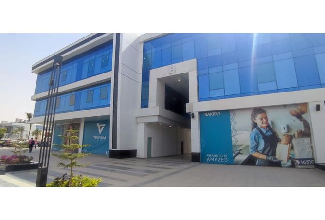 8565037 - Property Image 3