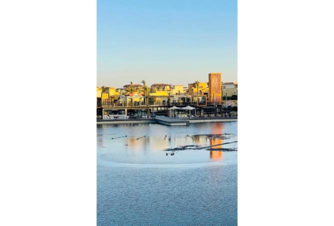 8043953 - Property Image 3