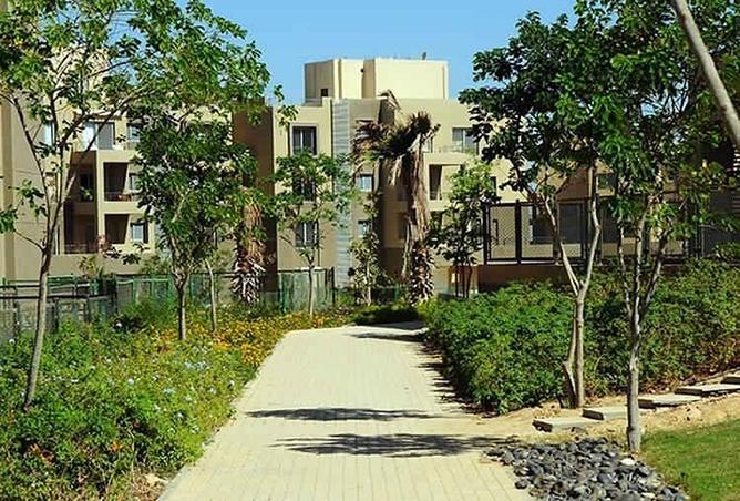 7981191 - صورة العقار 3