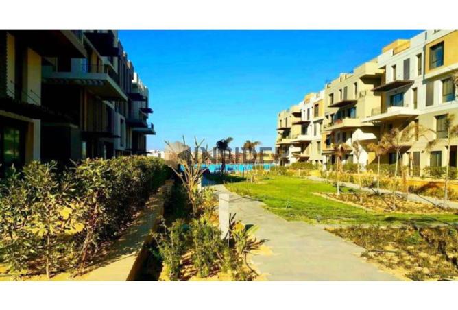 8262752 - Property Image 3