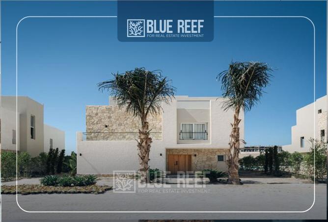 8406295 - Property Image 3