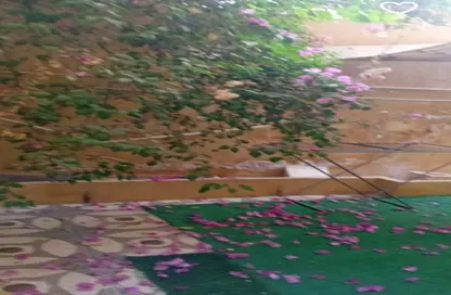 Apartment - 2 Bedrooms - 3 Bathrooms for rent in American University Housing District - 5th Settlement Compounds - The 5th Settlement - New Cairo City - Cairo