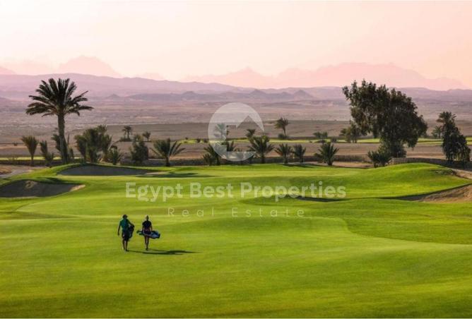 7984407 - Property Image 2