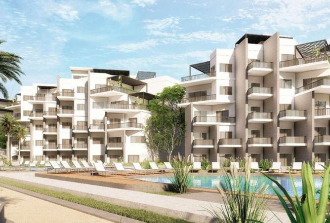 8050071 - Property Image 3