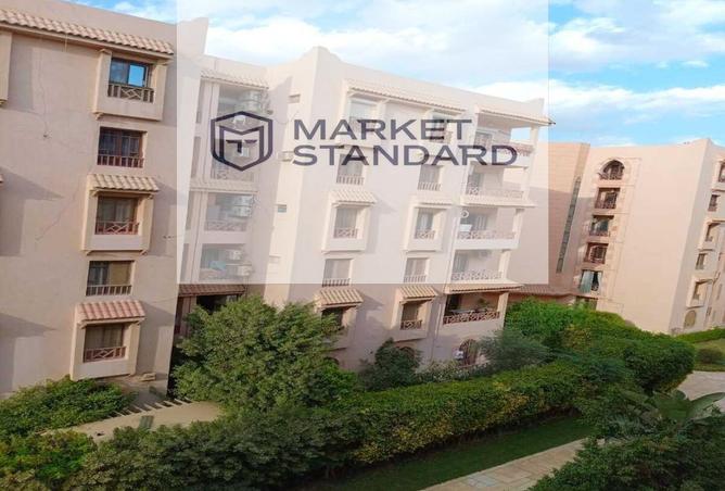 8437804 - Property Image 3