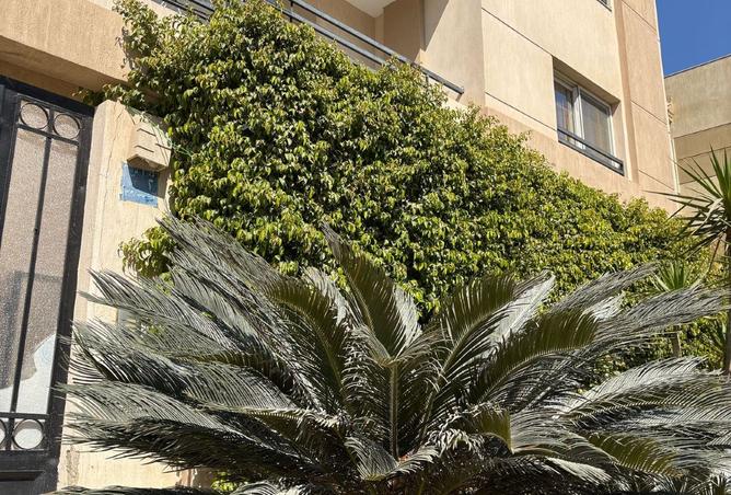 8278091 - Property Image 2